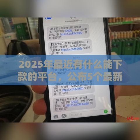 2025年最近有什么能下款的平台，公布5个最新借钱靠谱的平台