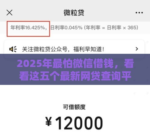 2025年最怕微信借钱,看看这五个最新网贷查询平台 2025年最怕微信借钱,看看这五个最新网贷查询平台