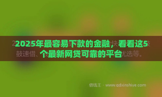 2025年最容易下款的金融，看看这5个最新网贷可靠的平台