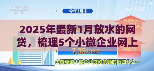 2025年最新1月放水的网贷，梳理5个小微企业网上贷款平台