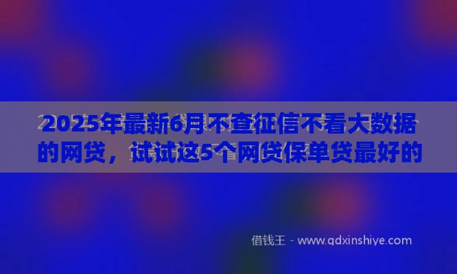 2025年最新6月不查征信不看大数据的网贷，试试这5个网贷保单贷最好的平台