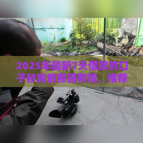 2025年最新7天借款的口子秒到的熊猫有钱，推荐5个马上花是借款平台贷款