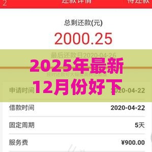 2025年最新12月份好下款的口子，推荐5个2025夜间秒下款高炮口子