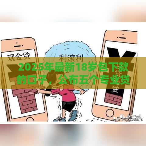 2025年最新18岁包下款的口子，公布五个专业贷款平台