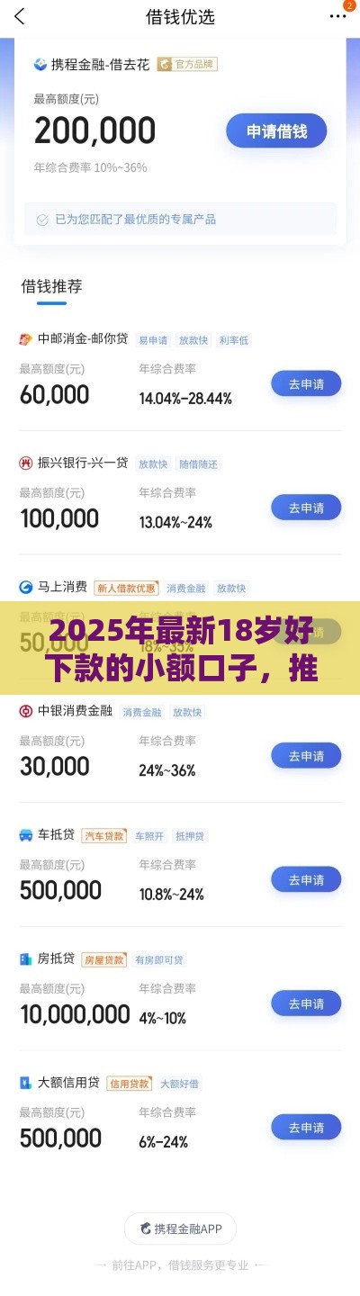 2025年最新18岁好下款的小额口子，推荐5个贷款平台网