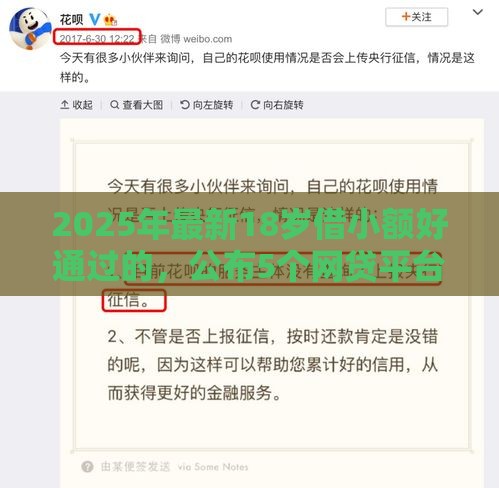 2025年最新18岁借小额好通过的，公布5个网贷平台不看征信马上通过的