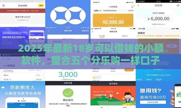 2025年最新18岁可以借钱的小额软件，整合五个分乐购一样口子