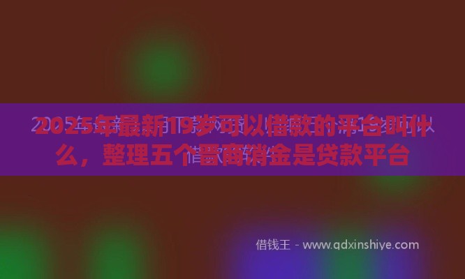 2025年最新19岁可以借款的平台叫什么，整理五个晋商消金是贷款平台