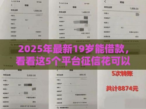 2025年最新19岁能借款，看看这5个平台征信花可以下款