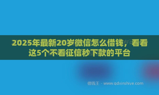 2025年最新20岁微信怎么借钱，看看这5个不看征信秒下款的平台