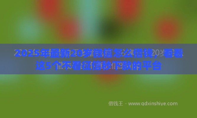 2025年最新20岁微信怎么借钱，看看这5个不看征信秒下款的平台