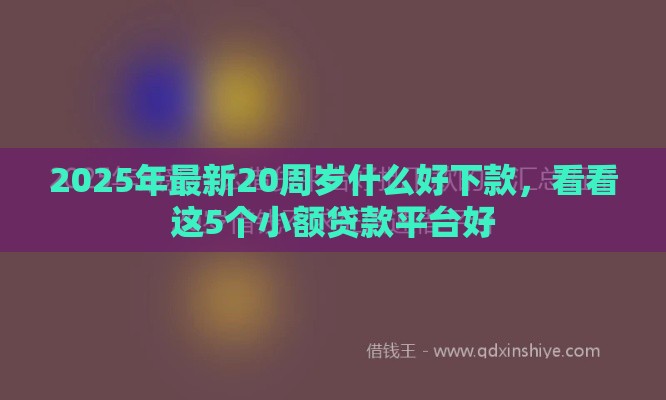2025年最新20周岁什么好下款，看看这5个小额贷款平台好