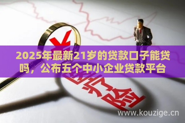 2025年最新21岁的贷款口子能贷吗，公布五个中小企业贷款平台