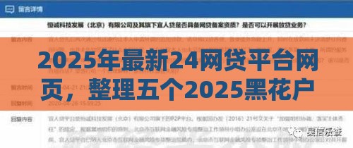 2025年最新24网贷平台网页，整理五个2025黑花户借款平台