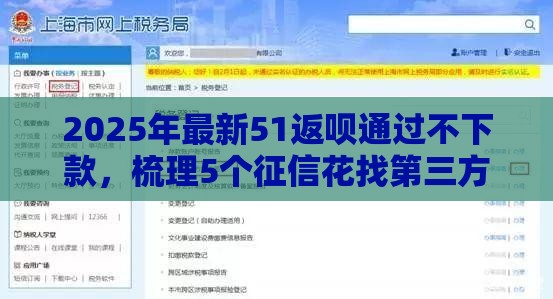 2025年最新51返呗通过不下款，梳理5个征信花找第三方担保贷款平台