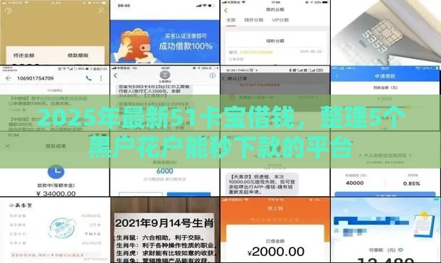 2025年最新51卡宝借钱，整理5个黑户花户能秒下款的平台