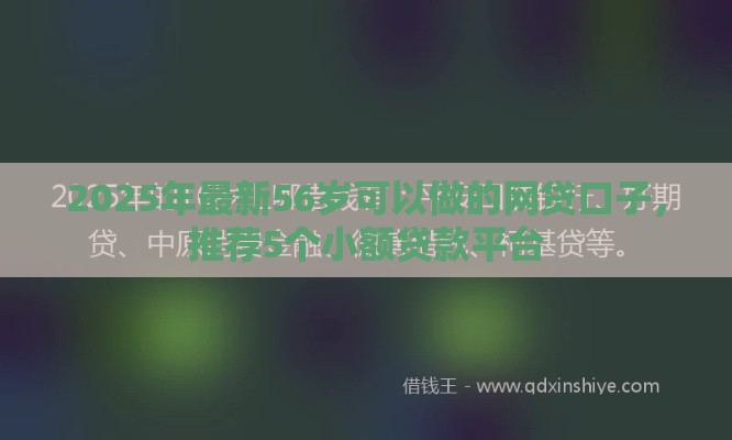 2025年最新56岁可以做的网贷口子，推荐5个小额贷款平台