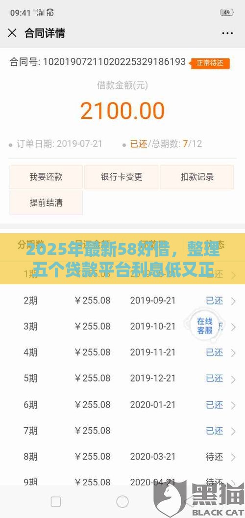 2025年最新从银行借钱缺点，试试这五个黑户秒下款的高炮口子