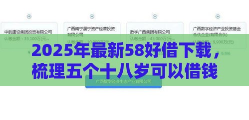 2025年最新58好借下载，梳理五个十八岁可以借钱的平台