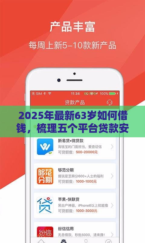 2025年最新63岁如何借钱，梳理五个平台贷款安全