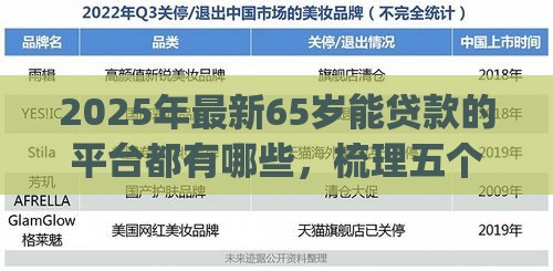 2025年最新65岁能贷款的平台都有哪些，梳理五个网贷平台p2p前十名