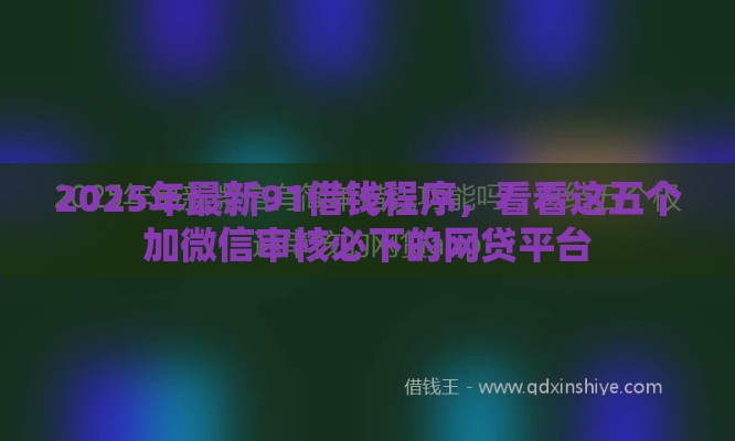 2025年最新91借钱程序，看看这五个加微信审核必下的网贷平台