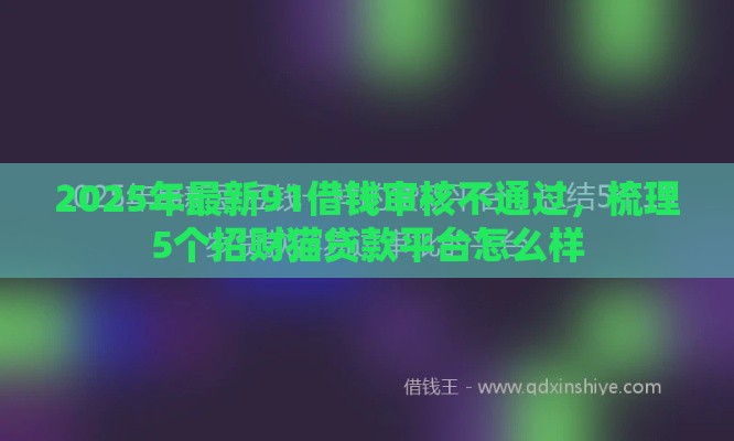 2025年最新91借钱审核不通过，梳理5个招财猫贷款平台怎么样