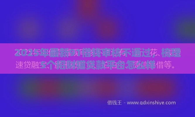2025年最新91借钱审核不通过，梳理5个招财猫贷款平台怎么样