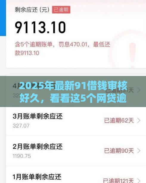 2025年最新91借钱审核好久，看看这5个网贷逾期黑户借钱的平台能借