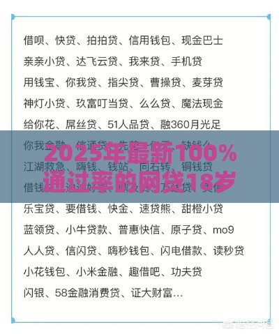 2025年最新100%通过率的网贷18岁的，分享5个民间贷款平台