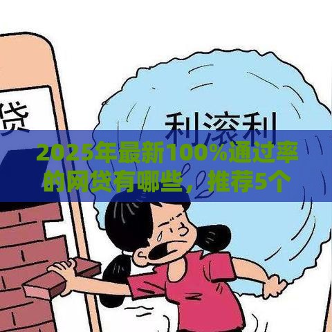 2025年最新100%通过率的网贷有哪些，推荐5个十大网络贷款平台排名不分先后