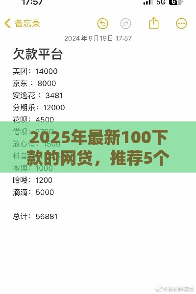 2025年最新100下款的网贷，推荐5个大平台借钱