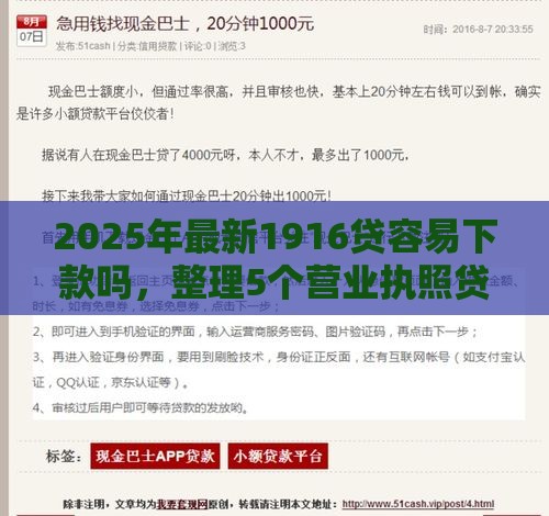 2025年最新1916贷容易下款吗，整理5个营业执照贷款平台