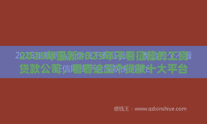 2025年最新2025年不看征信的工资贷款公司，看看这五个贷款十大平台