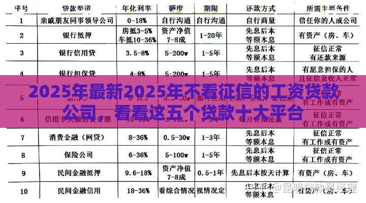 2025年最新2025年不看征信的工资贷款公司，看看这五个贷款十大平台