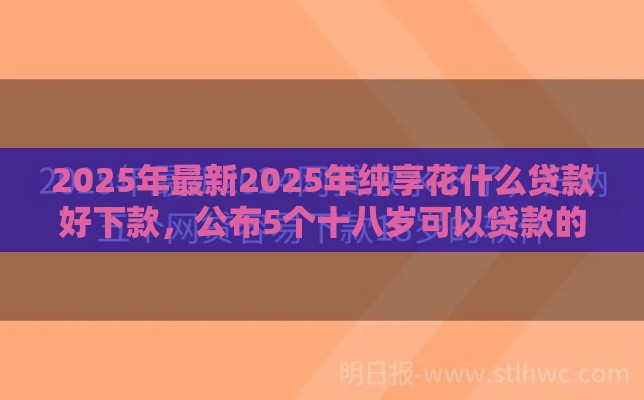 2025年最新2025年纯享花什么贷款好下款，公布5个十八岁可以贷款的平台