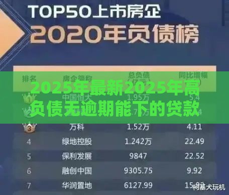 2025年最新2025年高负债无逾期能下的贷款有哪些，推荐五个学生小额贷款平台