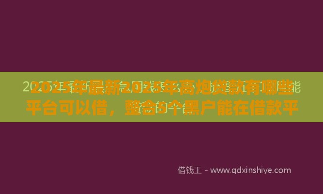 2025年最新2025年高炮贷款有哪些平台可以借，整合5个黑户能在借款平台借到钱