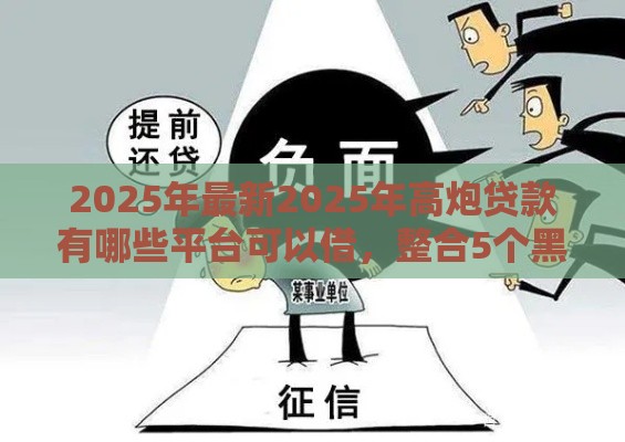 2025年最新2025年高炮贷款有哪些平台可以借，整合5个黑户能在借款平台借到钱