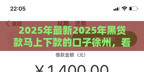 2025年最新2025年黑贷款马上下款的口子徐州，看看这5个容易下款的借款平台2025