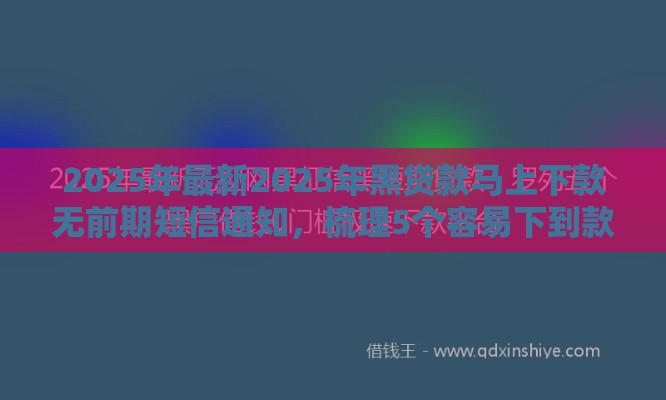 2025年最新2025年黑贷款马上下款无前期短信通知，梳理5个容易下到款的平台