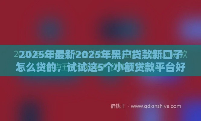 2025年最新2025年黑户贷款新口子怎么贷的，试试这5个小额贷款平台好下款不看征信