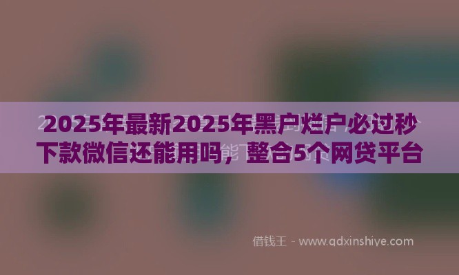 2025年最新2025年黑户烂户必过秒下款微信还能用吗，整合5个网贷平台利息最低