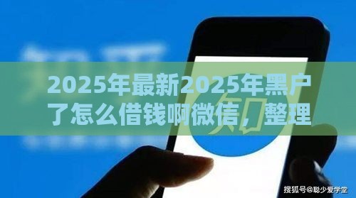 2025年最新2025年黑户了怎么借钱啊微信，整理5个黑户贷款平台好下款快