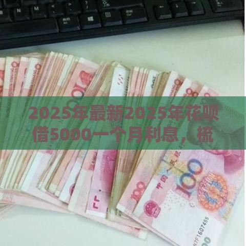 2025年最新2025年花呗借5000一个月利息，梳理五个中小企业贷款平台