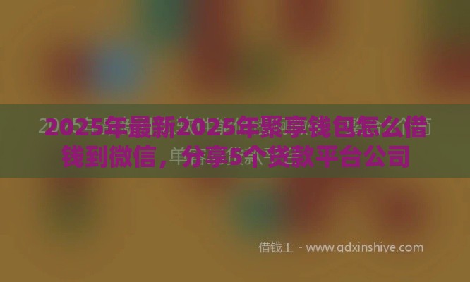 2025年最新2025年聚享钱包怎么借钱到微信，分享5个贷款平台公司