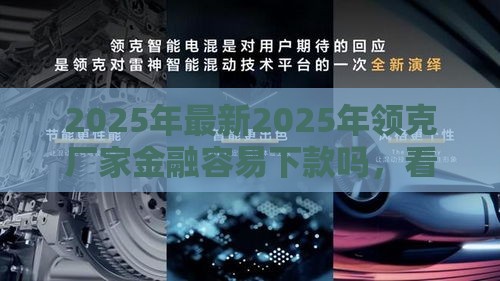 2025年最新2025年领克厂家金融容易下款吗，看看这5个超级黑户可以下款的口子