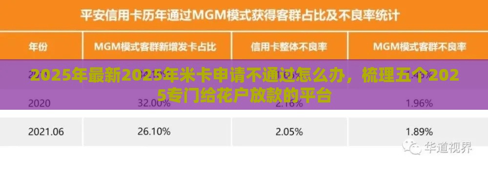 2025年最新2025年米卡申请不通过怎么办，梳理五个2025专门给花户放款的平台