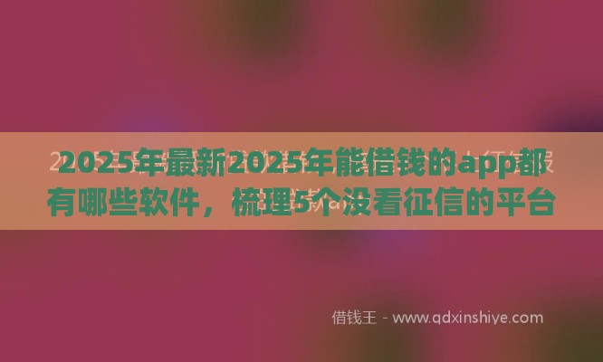 2025年最新2025年能借钱的app都有哪些软件，梳理5个没看征信的平台