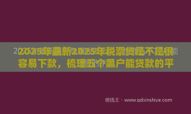 2025年最新2025年税票贷是不是很容易下款，梳理五个黑户能贷款的平台有什么